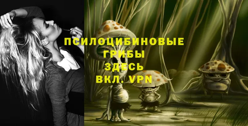 Псилоцибиновые грибы Psilocybe  цена   Курчатов 